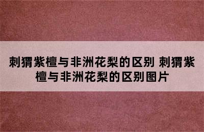 刺猬紫檀与非洲花梨的区别 刺猬紫檀与非洲花梨的区别图片